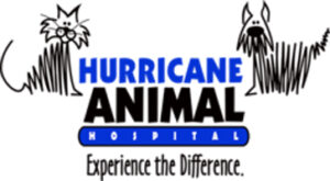 Hurricane Animal Hospital